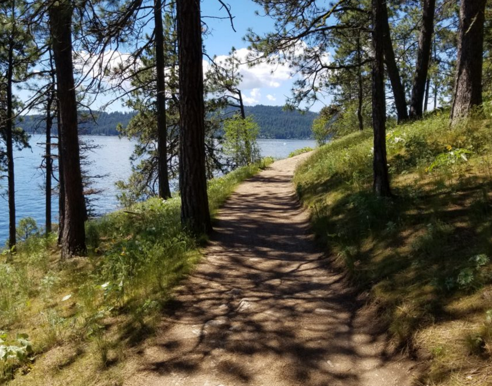 Tubbs Hill Nature Trails shoreline path